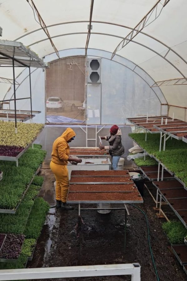 WhatsApp Image 2025-06-27 at 17.16.07 (1)