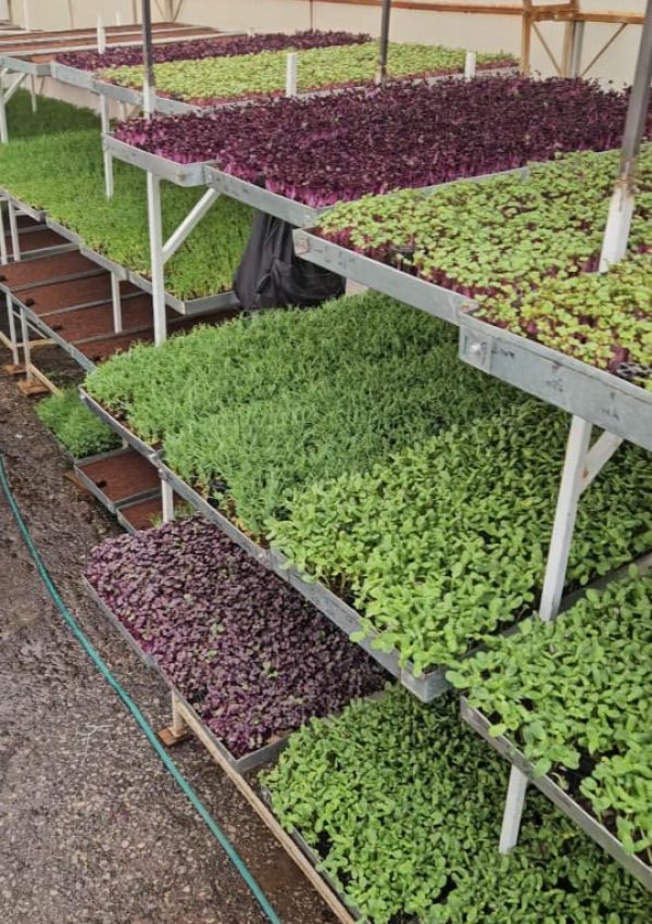 WhatsApp Image 2025-06-27 at 17.16.07 (2)